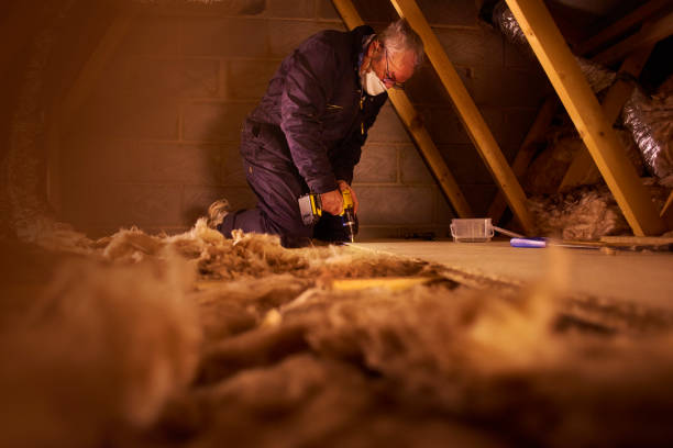 Best Geographic-Specific Insulation Services in Rensselaer, IN